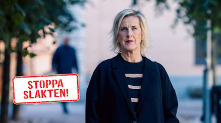 Åsa Fahlén, före detta ordförande för Sveriges Lärare, rasar över kommunernas fonderade tillgångar: ”Skolan är absolut en investering.”